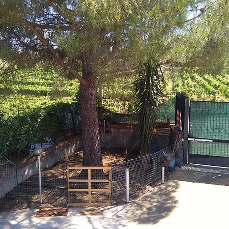 Holiday home Casa Vacanza Etna Zafferana Etnea